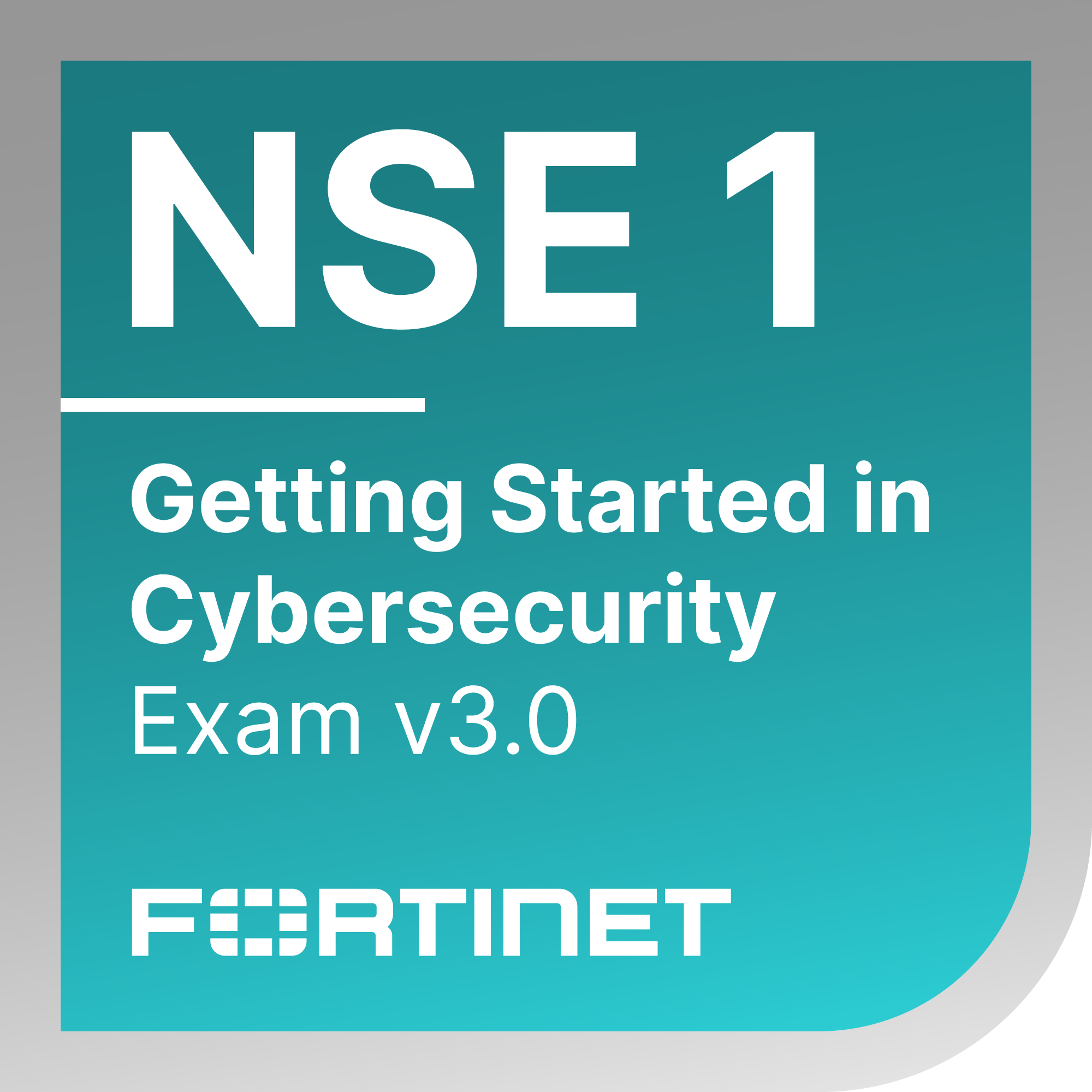 NSE 1