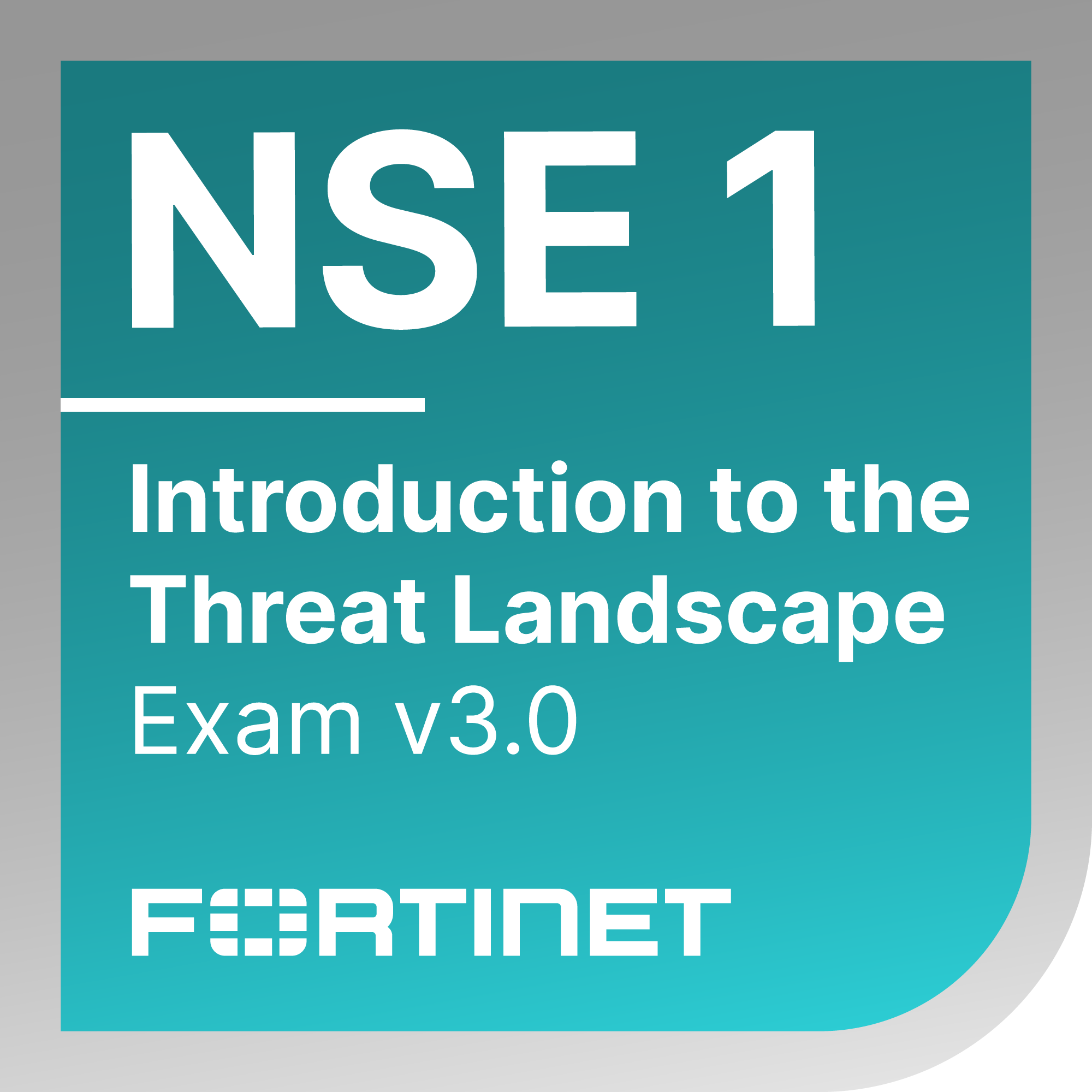 NSE 1