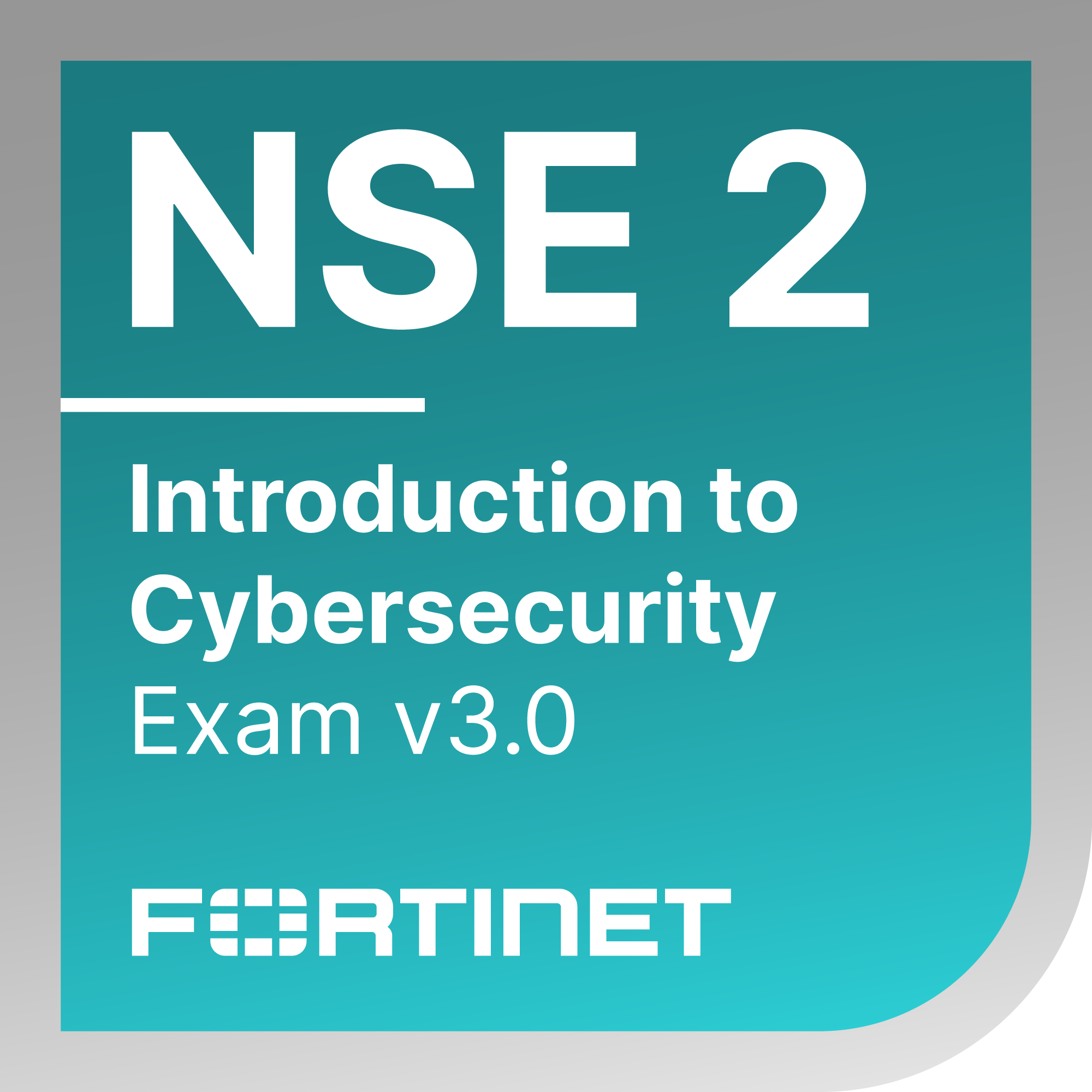 NSE 2